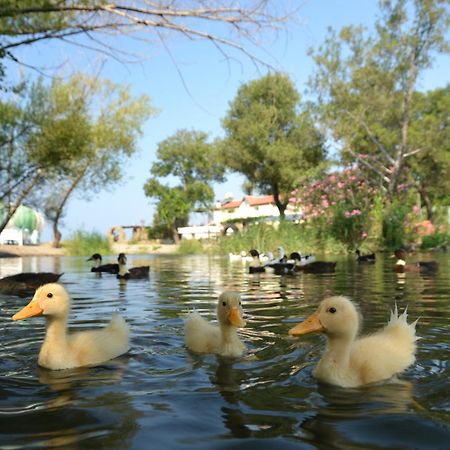 Yonca Lodge Fethiye Esterno foto