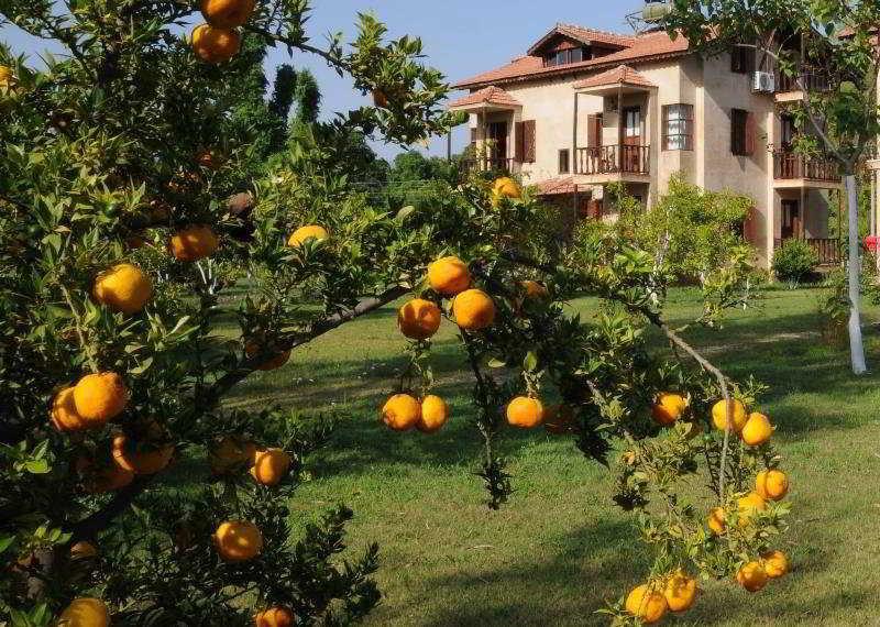 Yonca Lodge Fethiye Esterno foto